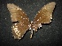  ( - MAL-02030)  @12 [ ] Unspecified (default): All Rights Reserved  Unspecified Unspecified
