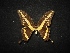  ( - MAL-02038)  @12 [ ] Unspecified (default): All Rights Reserved  Unspecified Unspecified