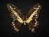  ( - MAL-02040)  @12 [ ] Unspecified (default): All Rights Reserved  Unspecified Unspecified