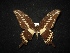  ( - MAL-02044)  @12 [ ] Unspecified (default): All Rights Reserved  Unspecified Unspecified