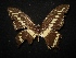  ( - MAL-02047)  @12 [ ] Unspecified (default): All Rights Reserved  Unspecified Unspecified