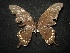  ( - MAL-02048)  @13 [ ] Unspecified (default): All Rights Reserved  Unspecified Unspecified