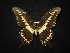  ( - MAL-02049)  @12 [ ] Unspecified (default): All Rights Reserved  Unspecified Unspecified