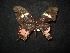  ( - MAL-02068)  @12 [ ] Unspecified (default): All Rights Reserved  Unspecified Unspecified