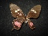  ( - MAL-02070)  @12 [ ] Unspecified (default): All Rights Reserved  Unspecified Unspecified