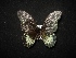  ( - MAL-02077)  @12 [ ] Unspecified (default): All Rights Reserved  Unspecified Unspecified