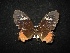  ( - MAL-02084)  @12 [ ] Unspecified (default): All Rights Reserved  Unspecified Unspecified