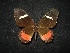  ( - MAL-02085)  @12 [ ] Unspecified (default): All Rights Reserved  Unspecified Unspecified