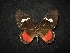  ( - MAL-02087)  @12 [ ] Unspecified (default): All Rights Reserved  Unspecified Unspecified