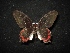  ( - MAL-02090)  @13 [ ] Unspecified (default): All Rights Reserved  Unspecified Unspecified