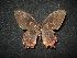  ( - MAL-02093)  @13 [ ] Unspecified (default): All Rights Reserved  Unspecified Unspecified