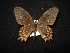  ( - MAL-02094)  @11 [ ] Unspecified (default): All Rights Reserved  Unspecified Unspecified