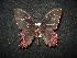  ( - MAL-02095)  @13 [ ] Unspecified (default): All Rights Reserved  Unspecified Unspecified