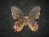  ( - MAL-02096)  @11 [ ] Unspecified (default): All Rights Reserved  Unspecified Unspecified