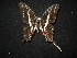  ( - MAL-02122)  @13 [ ] Unspecified (default): All Rights Reserved  Unspecified Unspecified