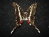  ( - MAL-02123)  @12 [ ] Unspecified (default): All Rights Reserved  Unspecified Unspecified