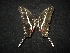  ( - MAL-02124)  @12 [ ] Unspecified (default): All Rights Reserved  Unspecified Unspecified