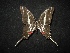  ( - MAL-02127)  @12 [ ] Unspecified (default): All Rights Reserved  Unspecified Unspecified