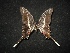  ( - MAL-02128)  @12 [ ] Unspecified (default): All Rights Reserved  Unspecified Unspecified