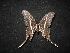  ( - MAL-02129)  @12 [ ] Unspecified (default): All Rights Reserved  Unspecified Unspecified