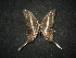  ( - MAL-02135)  @12 [ ] Unspecified (default): All Rights Reserved  Unspecified Unspecified