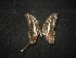  ( - MAL-02137)  @12 [ ] Unspecified (default): All Rights Reserved  Unspecified Unspecified