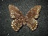  ( - MAL-02138)  @12 [ ] Unspecified (default): All Rights Reserved  Unspecified Unspecified