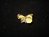  ( - MAL-02200)  @11 [ ] Unspecified (default): All Rights Reserved  Unspecified Unspecified