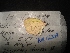  ( - MAL-02209)  @11 [ ] Unspecified (default): All Rights Reserved  Unspecified Unspecified