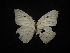  ( - MAL-02228)  @12 [ ] Unspecified (default): All Rights Reserved  Unspecified Unspecified
