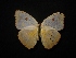  ( - MAL-02296)  @11 [ ] Unspecified (default): All Rights Reserved  Unspecified Unspecified