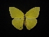  ( - MAL-02300)  @11 [ ] Unspecified (default): All Rights Reserved  Unspecified Unspecified