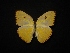  ( - MAL-02304)  @11 [ ] Unspecified (default): All Rights Reserved  Unspecified Unspecified