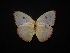  ( - MAL-02305)  @11 [ ] Unspecified (default): All Rights Reserved  Unspecified Unspecified