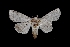 ( - MAL-01527)  @13 [ ] Unspecified (default): All Rights Reserved  Unspecified Unspecified