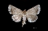  ( - MAL-01530)  @14 [ ] Unspecified (default): All Rights Reserved  Unspecified Unspecified