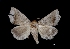  ( - MAL-01526)  @14 [ ] Unspecified (default): All Rights Reserved  Unspecified Unspecified