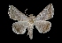  ( - MAL-01535)  @13 [ ] Unspecified (default): All Rights Reserved  Unspecified Unspecified
