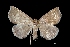  ( - MAL-01553)  @11 [ ] Unspecified (default): All Rights Reserved  Unspecified Unspecified