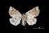  ( - MAL-01553)  @11 [ ] Unspecified (default): All Rights Reserved  Unspecified Unspecified