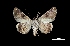  ( - MAL-01532)  @14 [ ] Unspecified (default): All Rights Reserved  Unspecified Unspecified