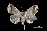  ( - MAL-01617)  @13 [ ] Unspecified (default): All Rights Reserved  Unspecified Unspecified