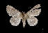  ( - MAL-01548)  @13 [ ] Unspecified (default): All Rights Reserved  Unspecified Unspecified