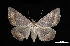  ( - MAL-01608)  @13 [ ] Unspecified (default): All Rights Reserved  Unspecified Unspecified