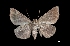  ( - MAL-01608)  @13 [ ] Unspecified (default): All Rights Reserved  Unspecified Unspecified