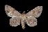  ( - MAL-01560)  @12 [ ] Unspecified (default): All Rights Reserved  Unspecified Unspecified
