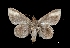  ( - MAL-01560)  @12 [ ] Unspecified (default): All Rights Reserved  Unspecified Unspecified