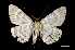  ( - MAL-01615)  @13 [ ] Unspecified (default): All Rights Reserved  Unspecified Unspecified