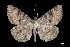  ( - MAL-01624)  @14 [ ] Unspecified (default): All Rights Reserved  Unspecified Unspecified