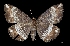  ( - MAL-01616)  @13 [ ] Unspecified (default): All Rights Reserved  Unspecified Unspecified